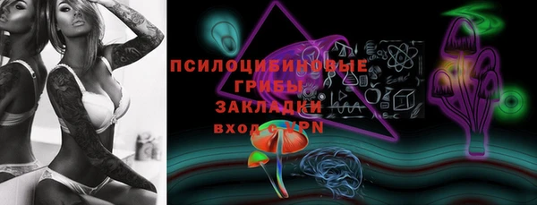 гидра Карталы