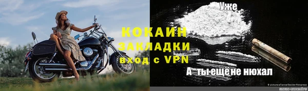 дживик Касимов