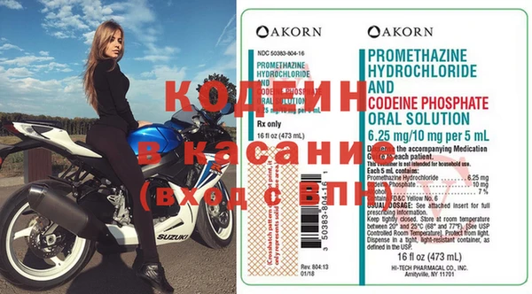 дживик Касимов