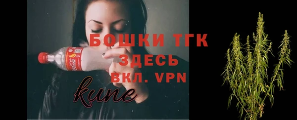 дживик Касимов