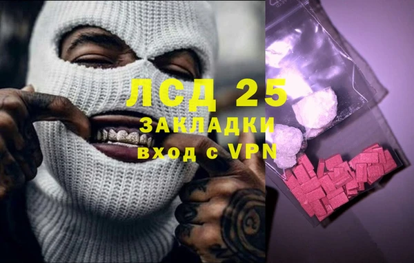 дживик Касимов