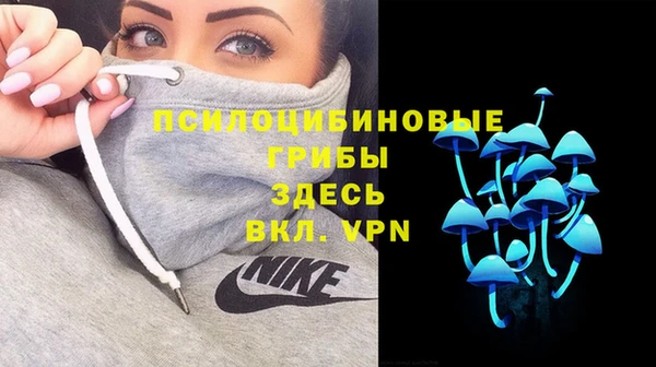 гидра Карталы