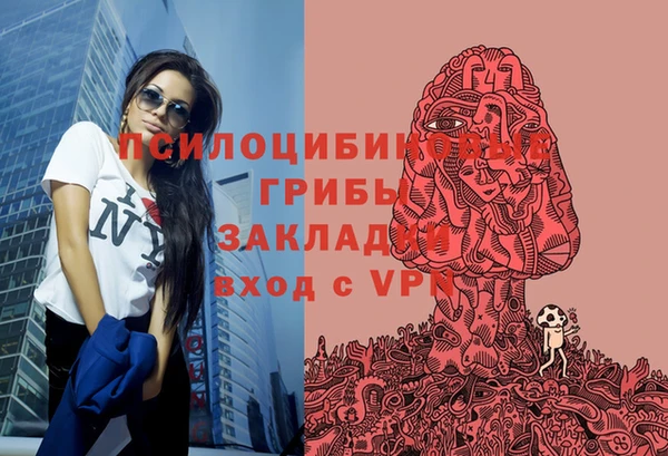дживик Касимов