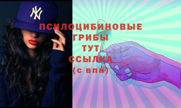 MDMA Карпинск